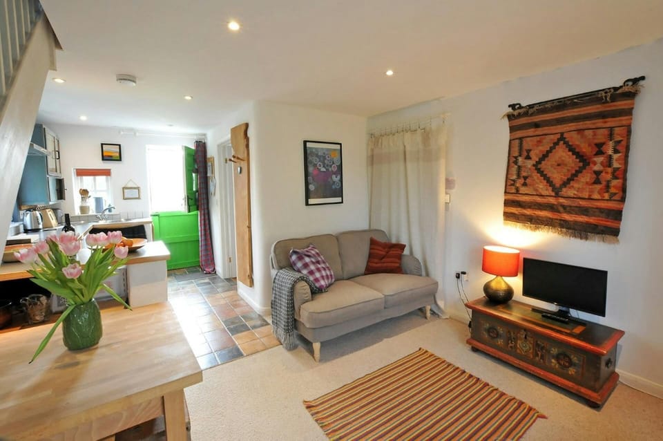 Living area with dining table and chairs, TV on storage box, rug, sofa