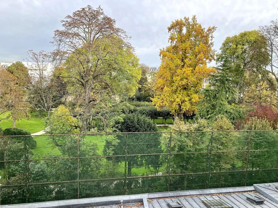 Garden living room view
