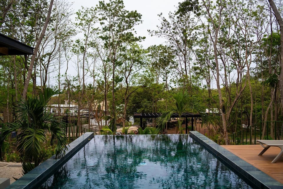 Large, infinity edge pool overlooking the natural dry forest and garden