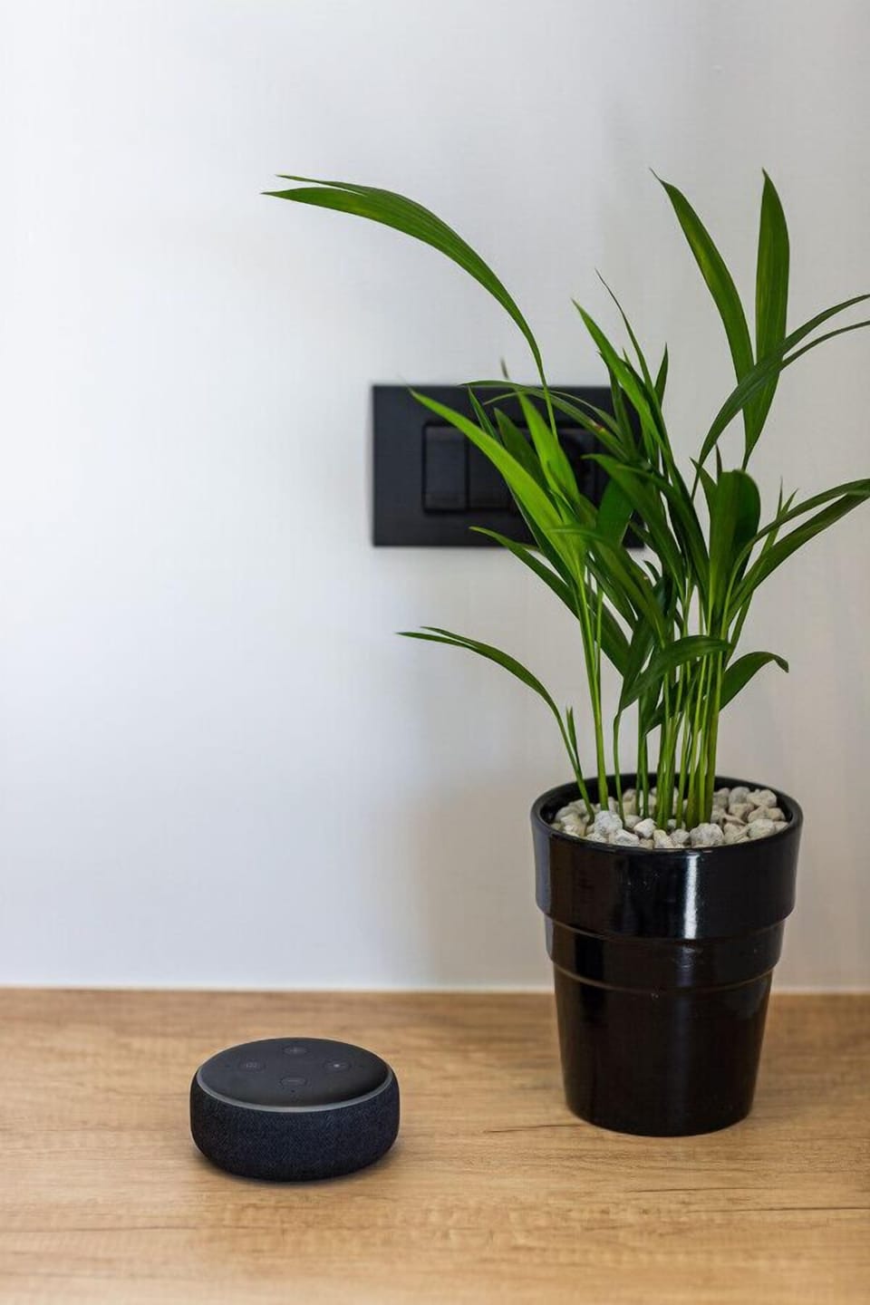 Each room includes alexa bluetooth speaker