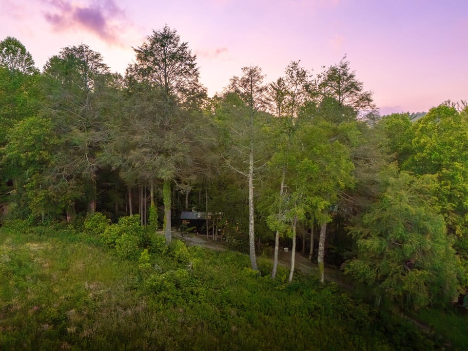 Surrounded by forest