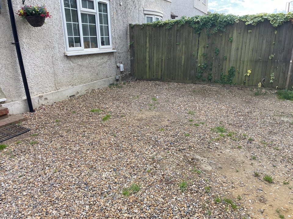 Image 13