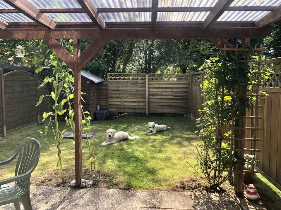 Sielwärterbuzze, Germany House in Wangerland