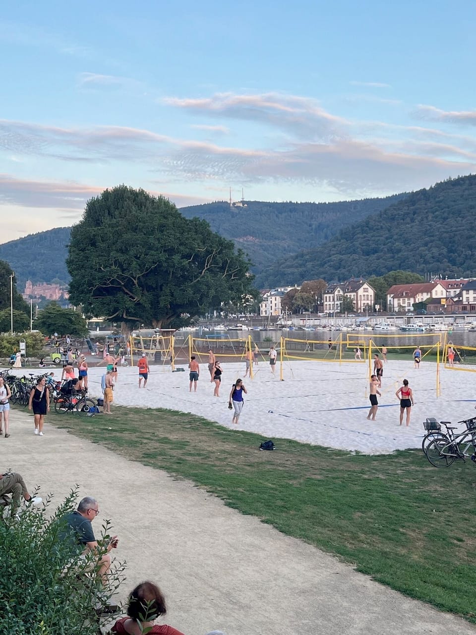 Sport court