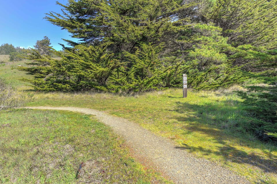 Bluff trail