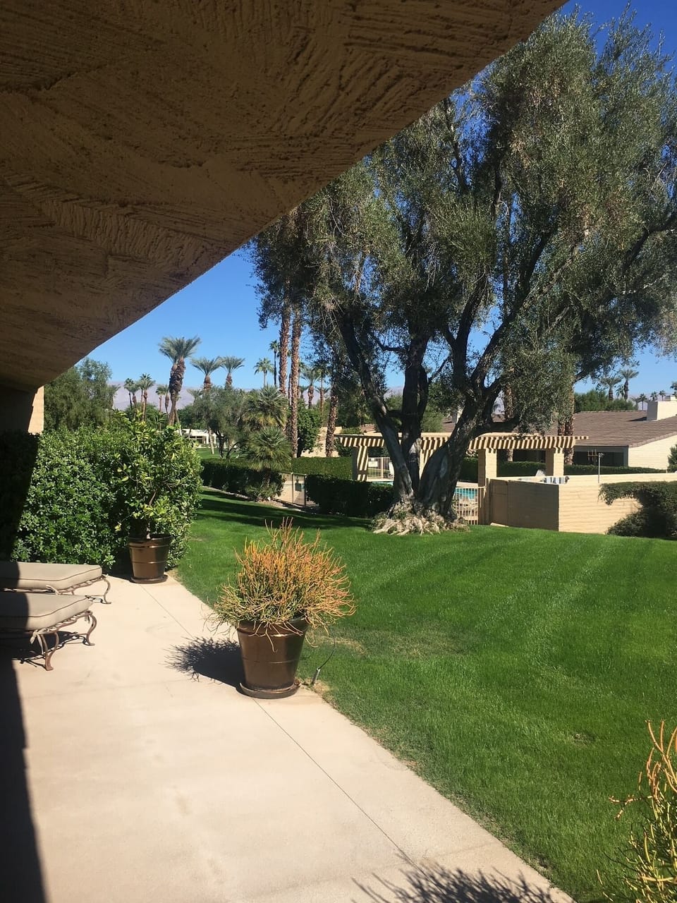 Back patio - steps to pool and jacuzzi