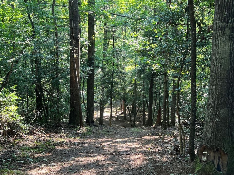 River Path