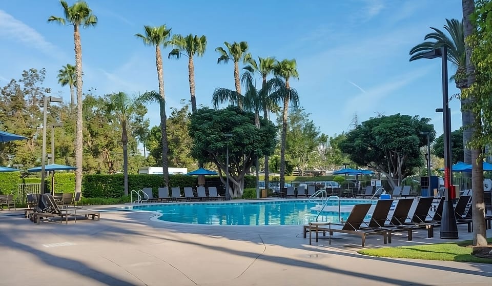 Stretch out on loungers and soak up the sunshine.