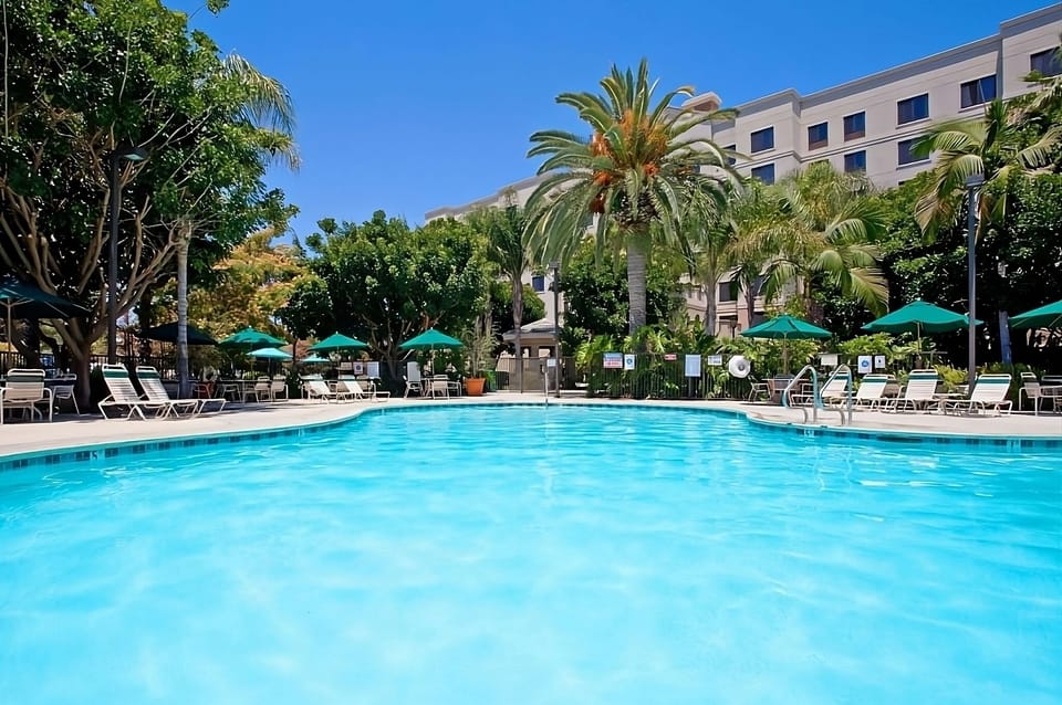 Dive into a sparkling pool framed by lush palms.