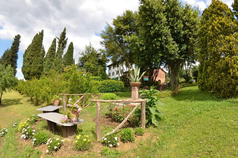 Garden [summer]