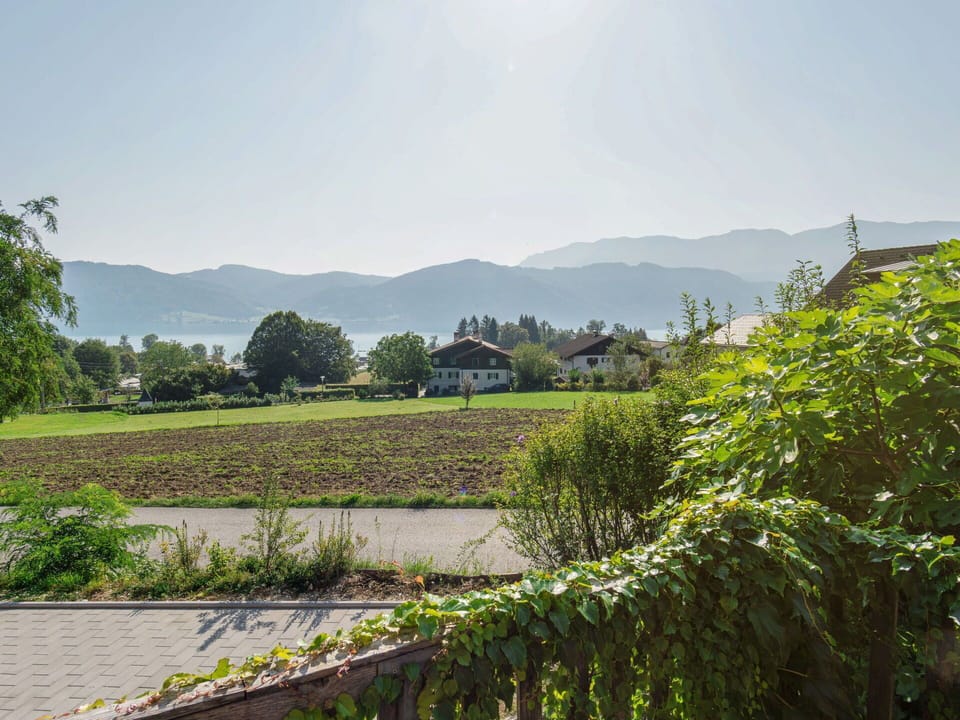 Plant, Sky, Plant Community, Mountain, Natural Landscape, Tree, Land Lot, Agriculture, Grass, Grassland