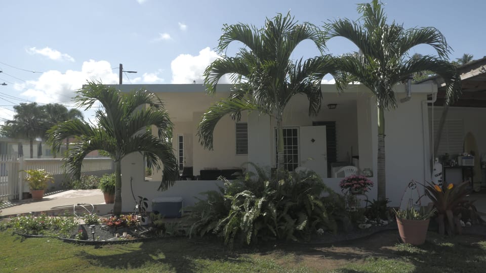The side yard.