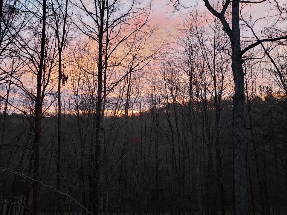 Beauful views from the cabin