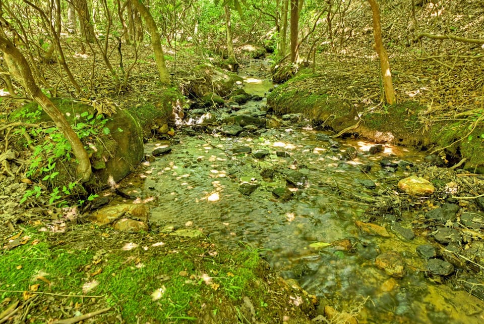 Babbling Brook