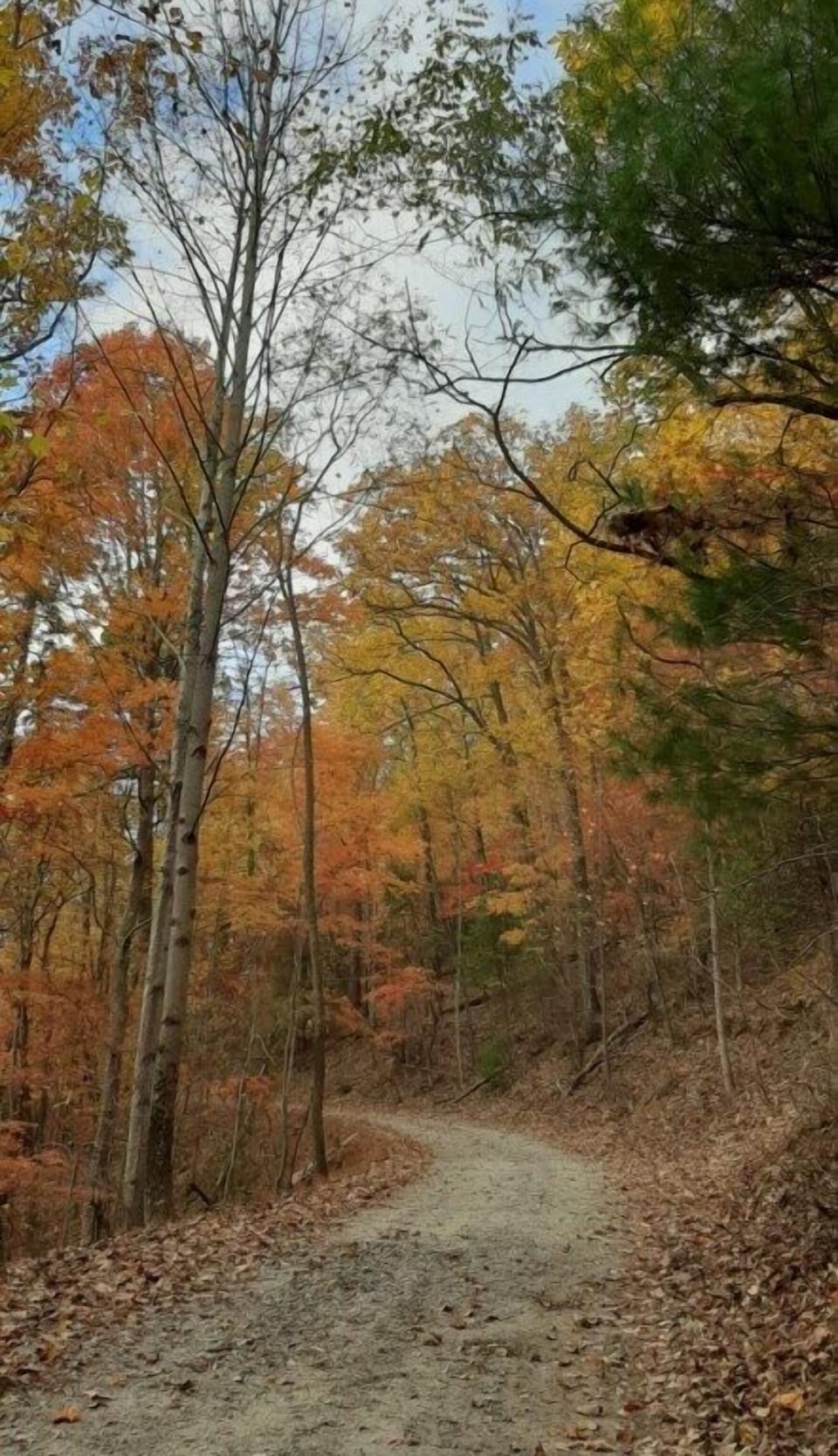 The perfect place to watch the seasonal leaves change colors