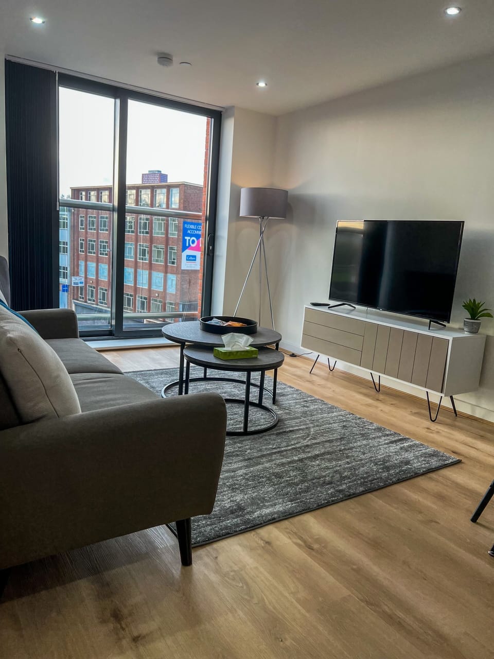 Living Room (1)