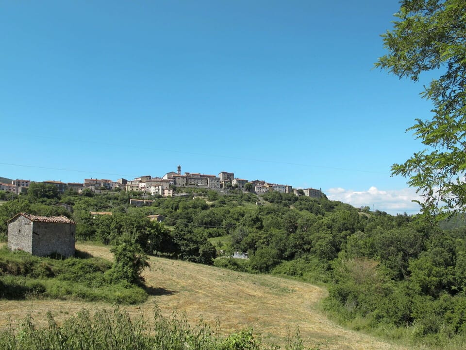 Plant, Building, Property, Green, Urban Design, Window, Tree, Neighbourhood, Condominium, Residential Area