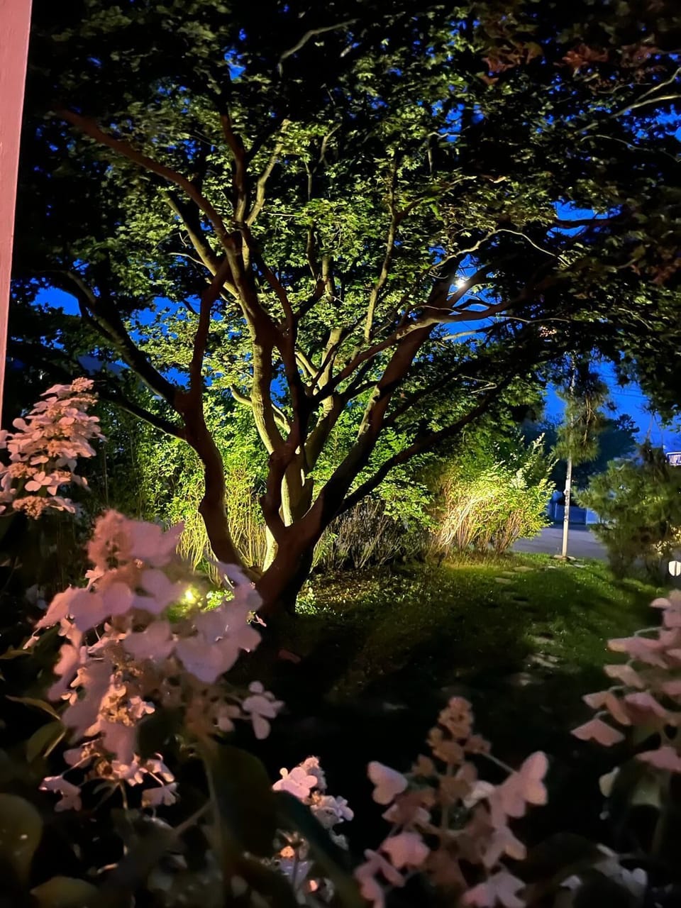 Property grounds