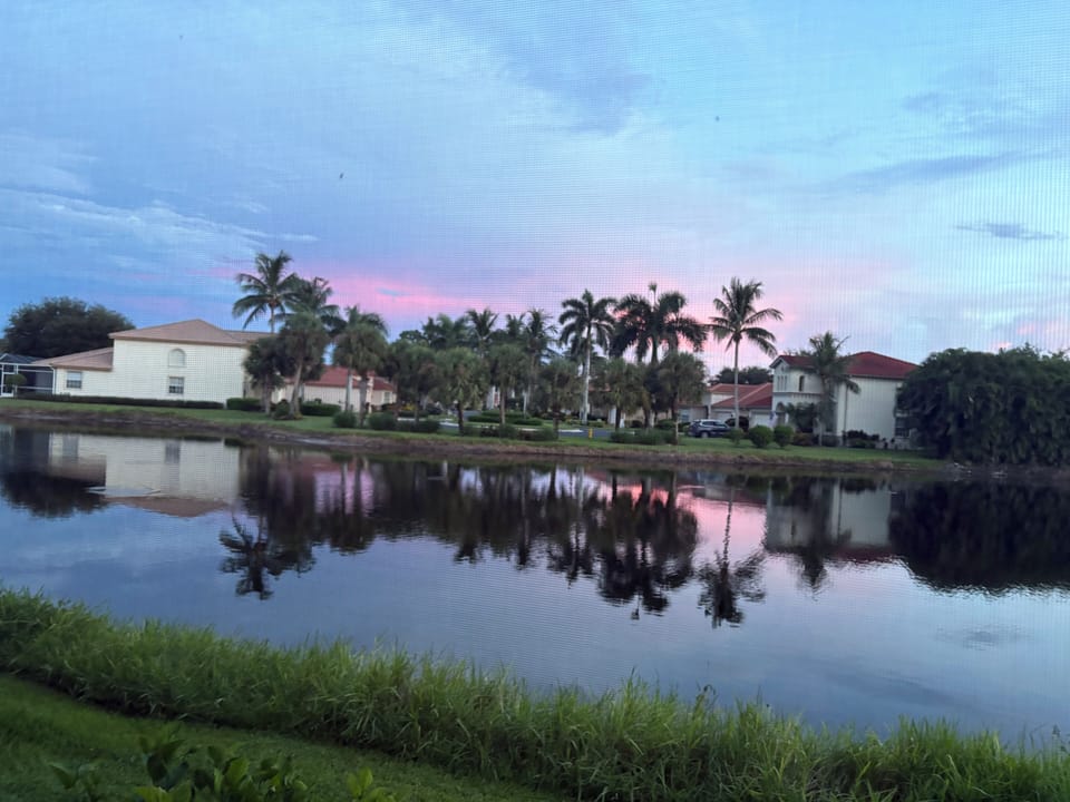 Back area from lanai