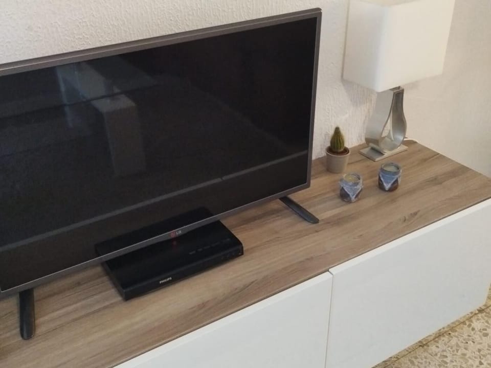 Television