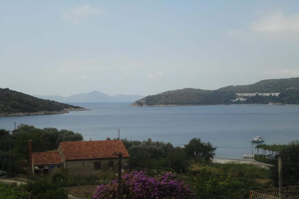 Immediate Surroundings [summer] (<1 km)