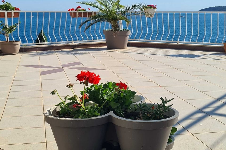 terrace