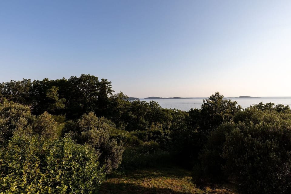 Immediate Surroundings [summer] (<1 km)