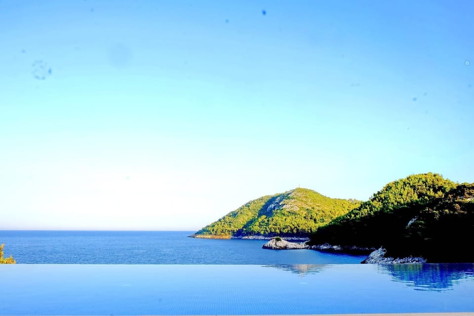 View