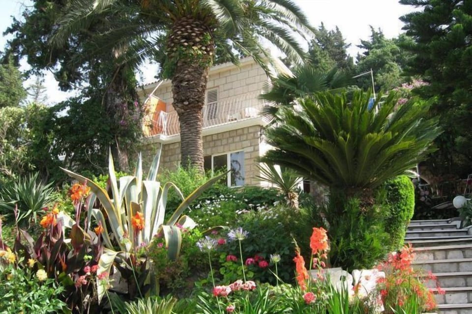 Garden [summer]