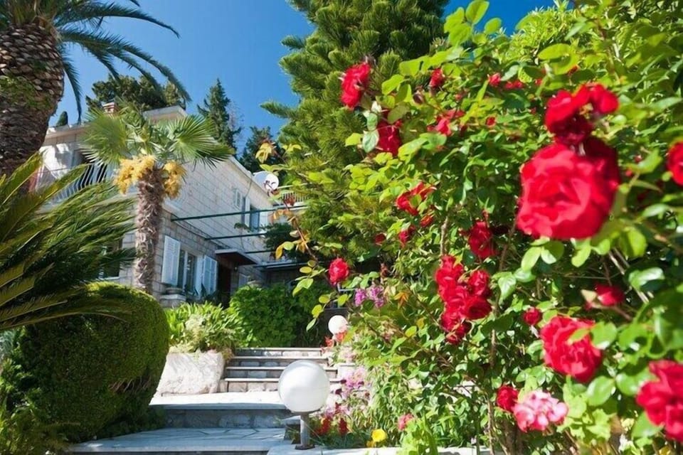 Garden [summer]