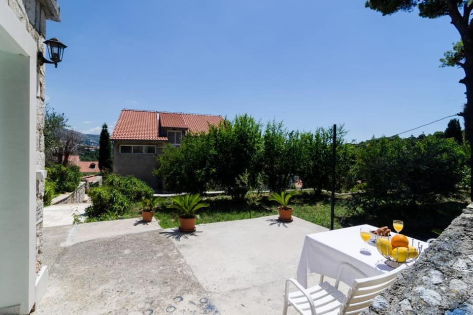 Immediate Surroundings [summer] (<1 km)