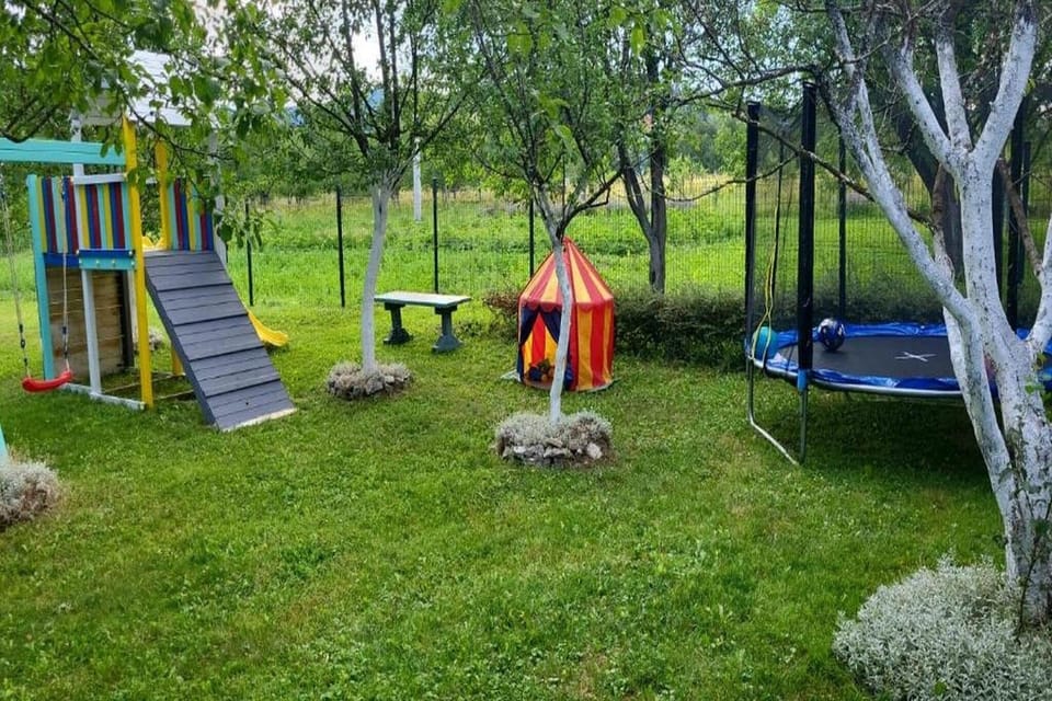 Garden [summer]