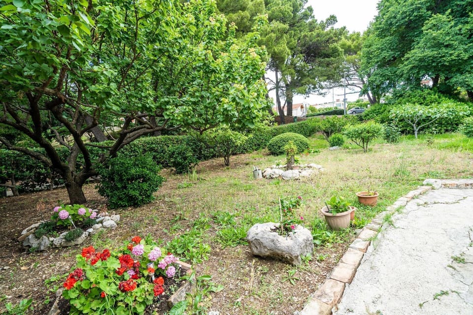 Garden [summer]