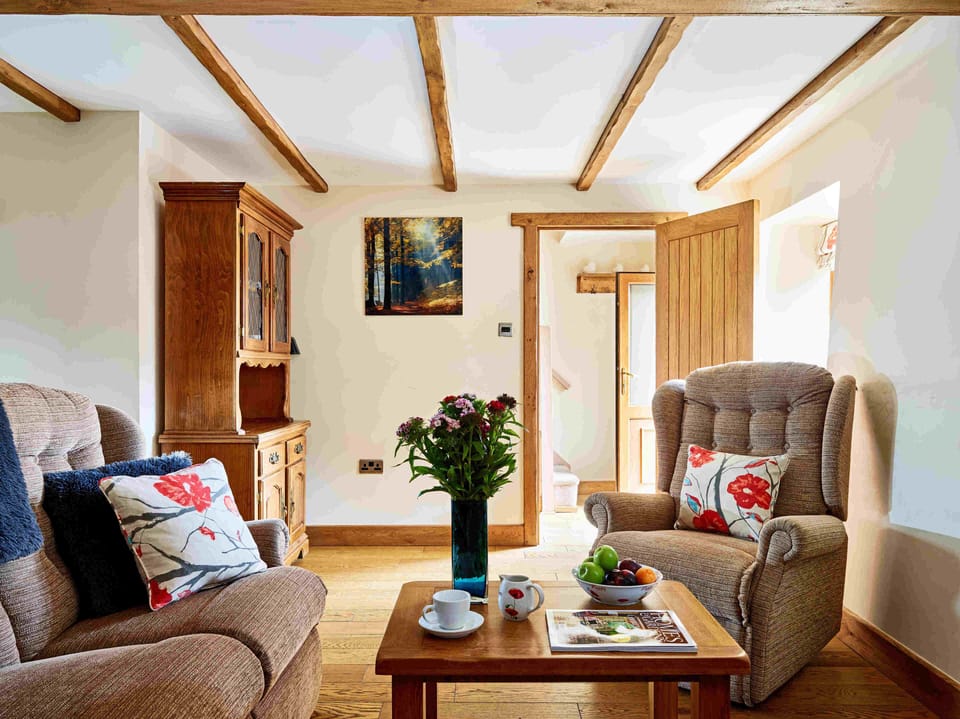 Trefaen Living Room (1)