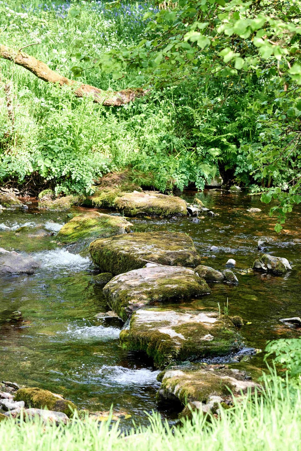 Stepping Stones over River Crai