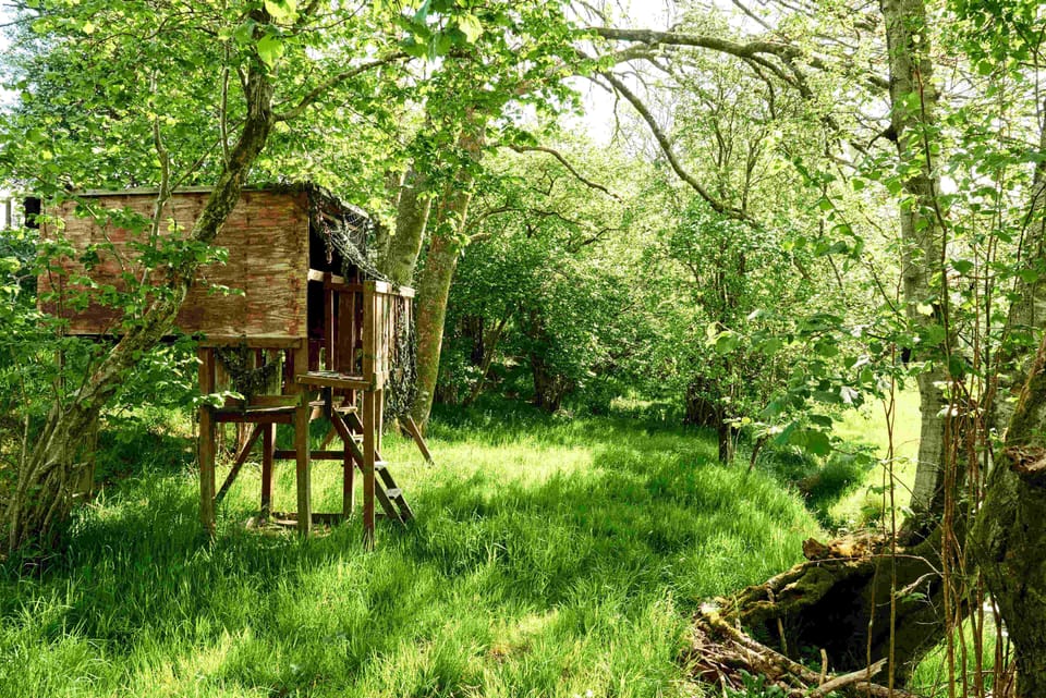 Childrens Tree House Onnen Fawr Leisure