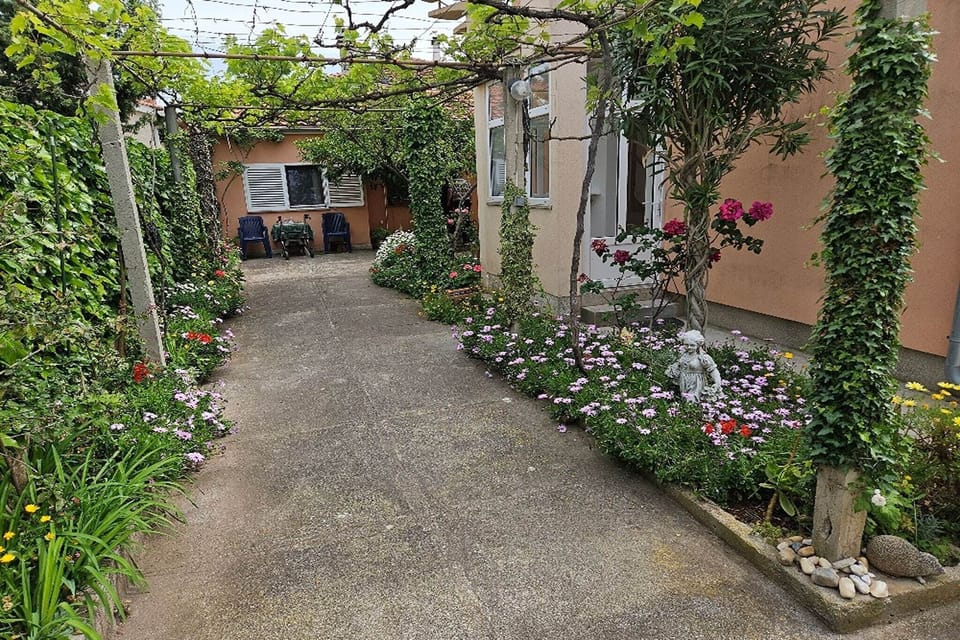 Garden [summer]