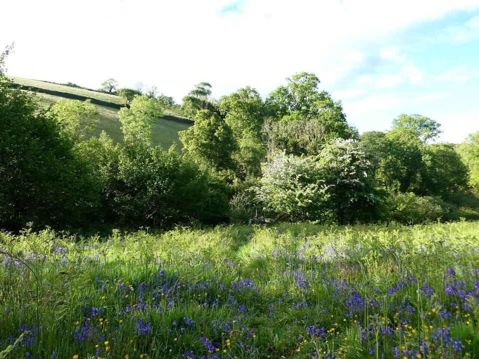 Image 31