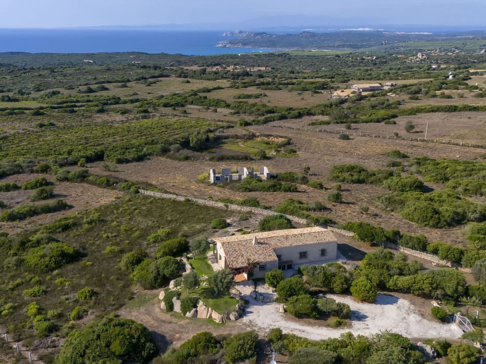 Table, Furniture, Tableware, Chair, Blue, Interior Design, Plant, Floor, Building, Outdoor Furniture