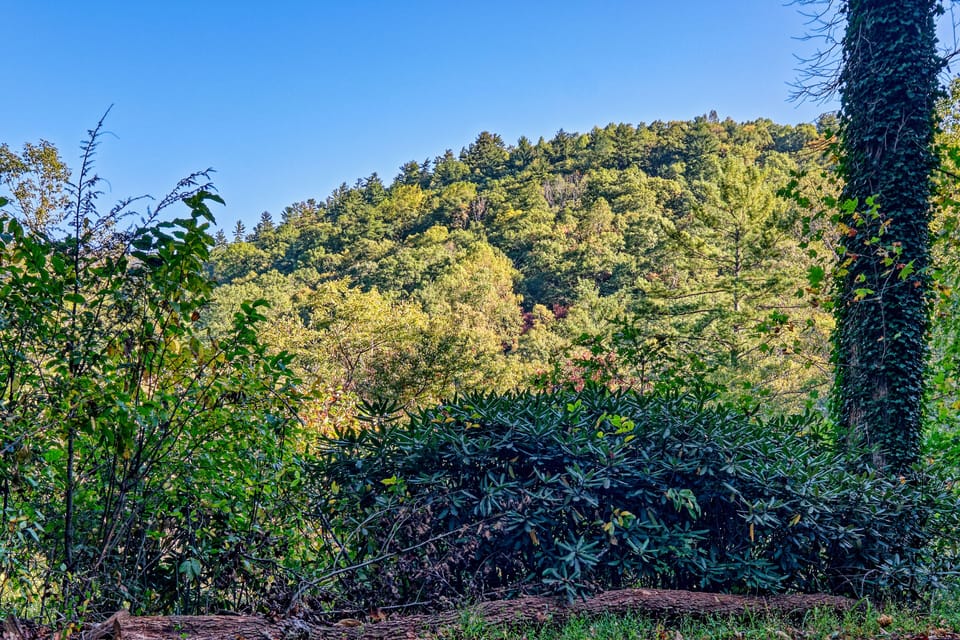 Mountain View from Front Porch