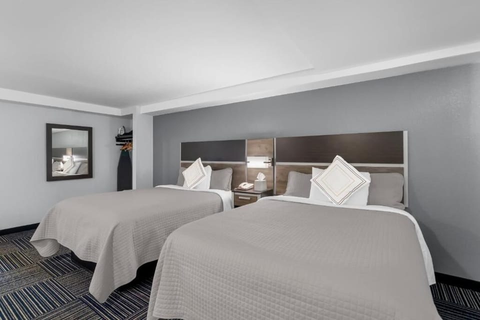 Drift off comfortably in crisp linens under soft lighting.