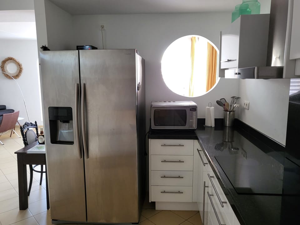 American style fridge
