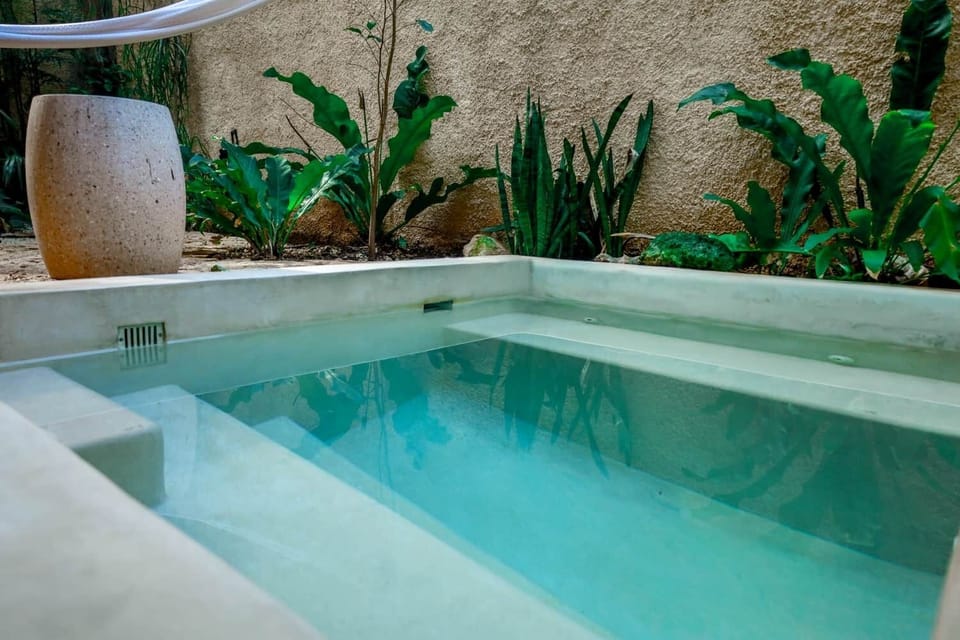 Exterior/ Patio y Alberca privados