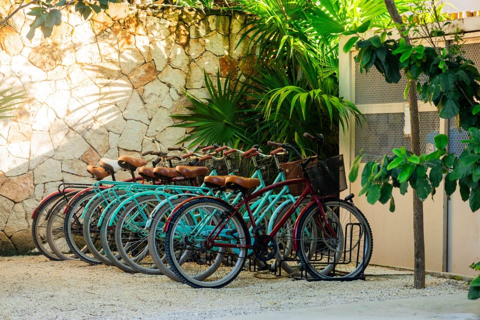 Exterior Bicicletas para renta 