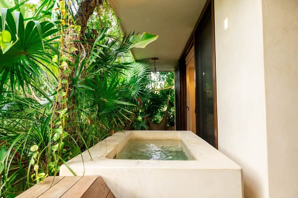 Exterior / Balcón selvático y Alberca privada (4)
