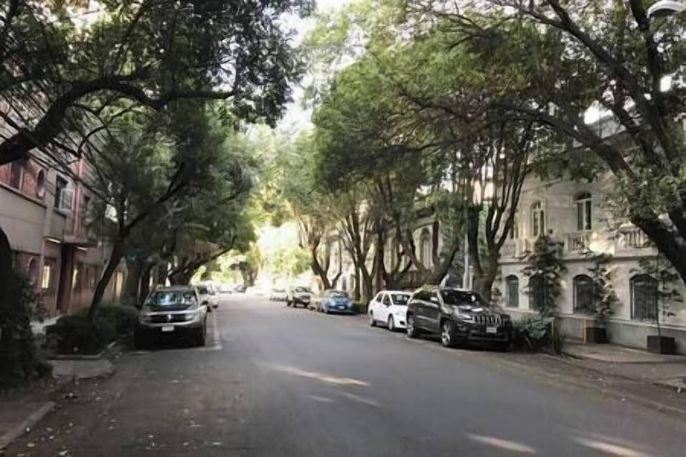 vista de la calle 