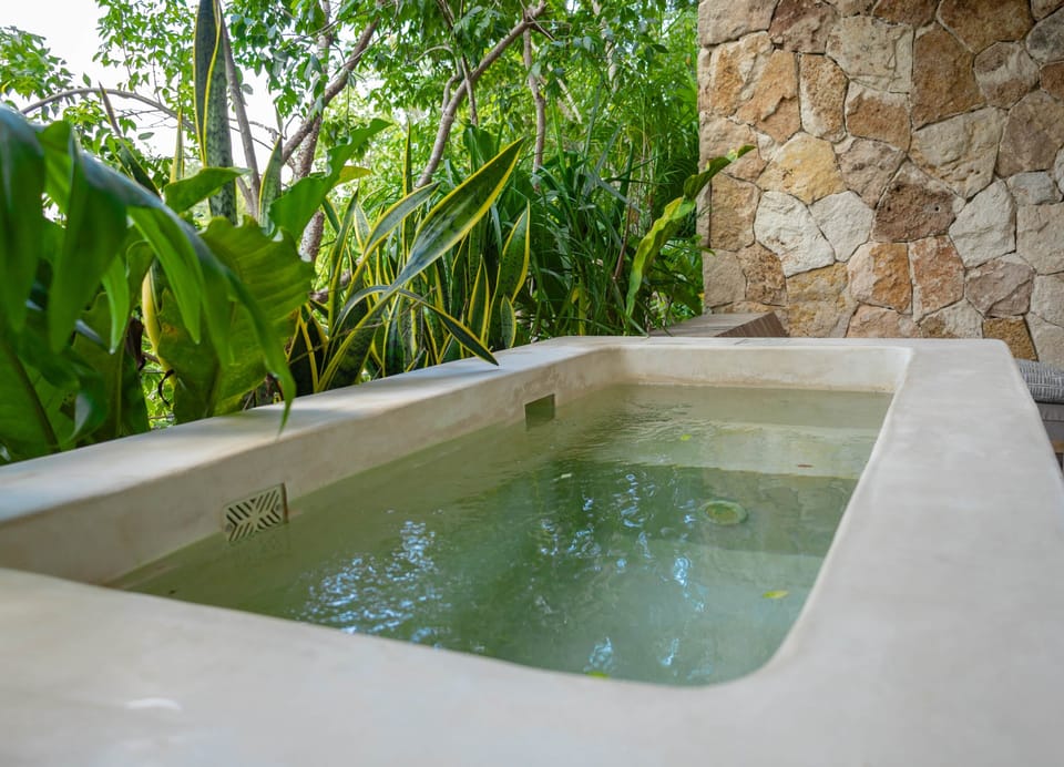Exterior/ Terraza y Alberca privada