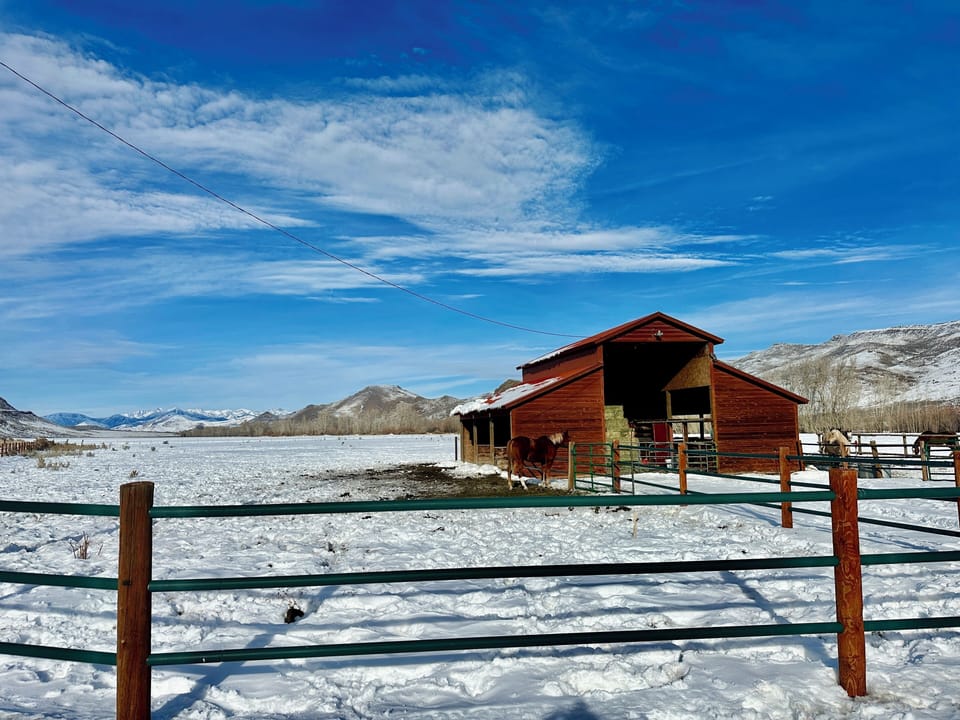 We love winters at the Ranch! Big blue skies and lots of snow.