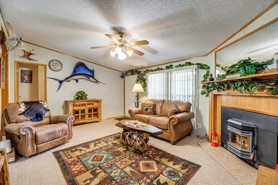 TV, fireplace, books