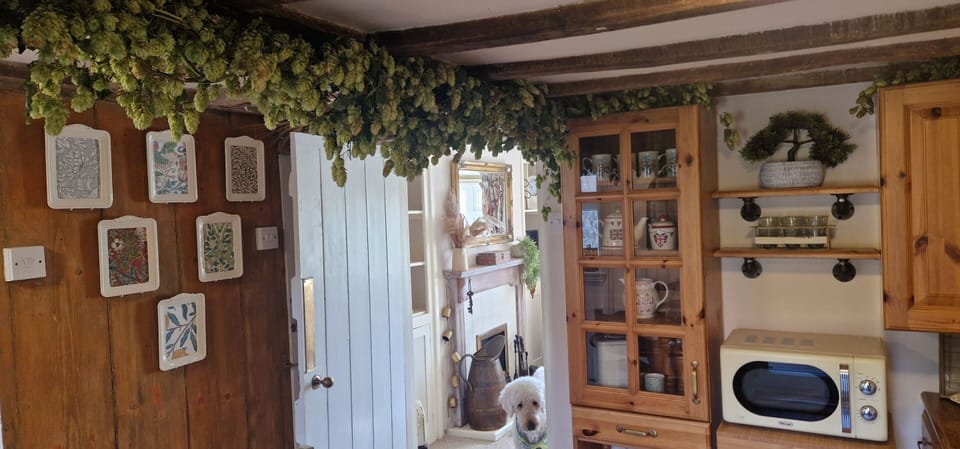 HOPS IN THE KITCHEN